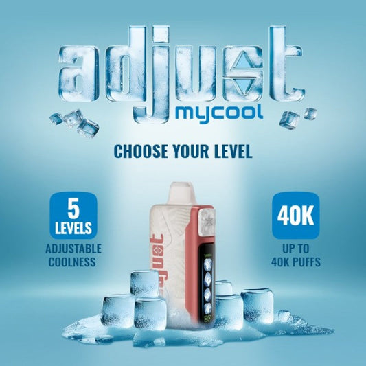 Adjust MyCool Ice Control 40000 Puffs Disposable